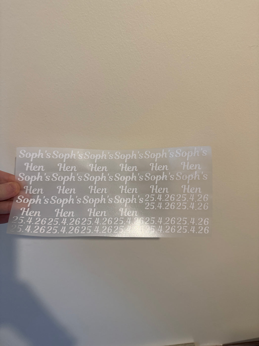 Vinyl Stickers All Variants
